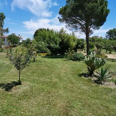Appartement Patio House