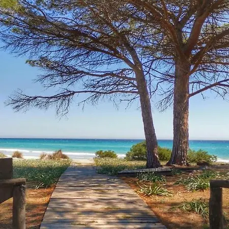 Patio House Lägenhet *