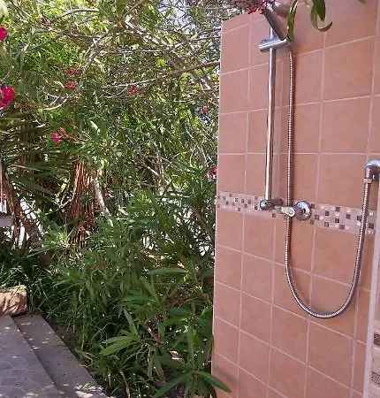 Patio House