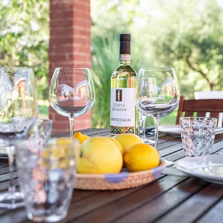 Patio House Apartament