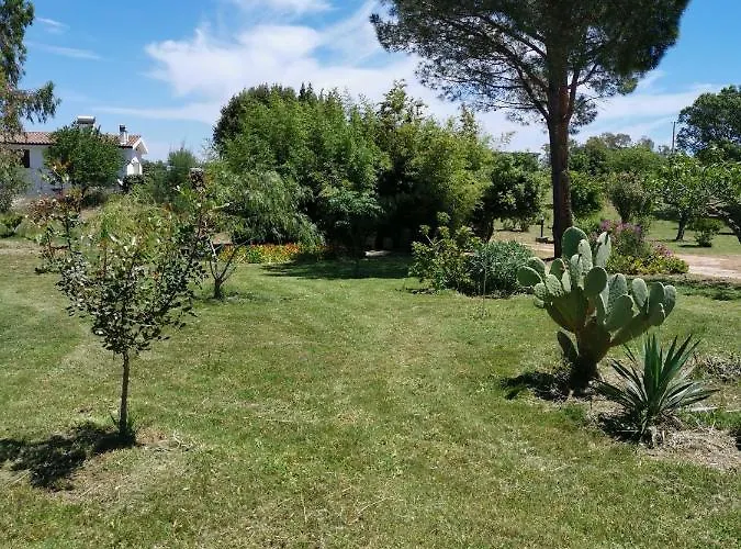 Apartament Patio House