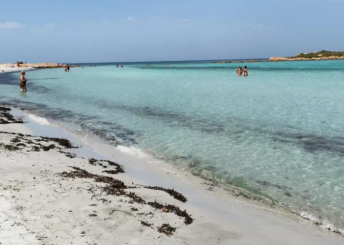 Apartament Patio House