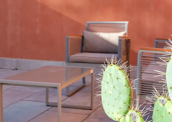 Patio House Apartament *